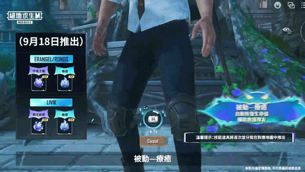 PUBGM国际服