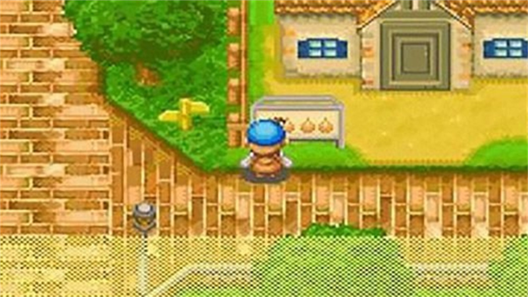 牧场物语男孩版免费下载