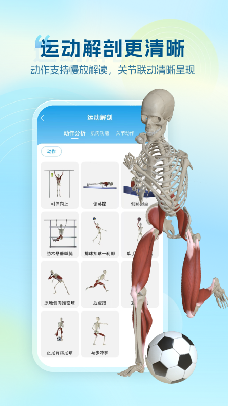 维萨里3D解剖免费版v6.9.4