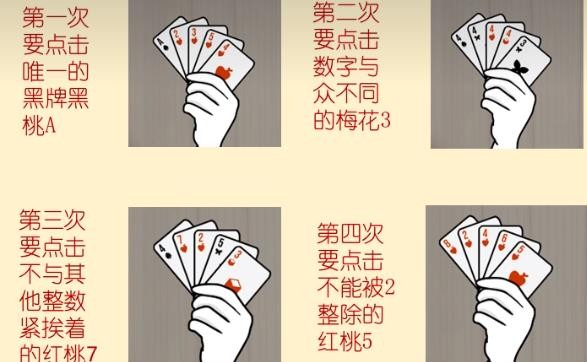 兔子先生的魔法秀