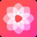 粉嫩直播下载直装