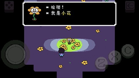 传说之下黄魂传说中文版