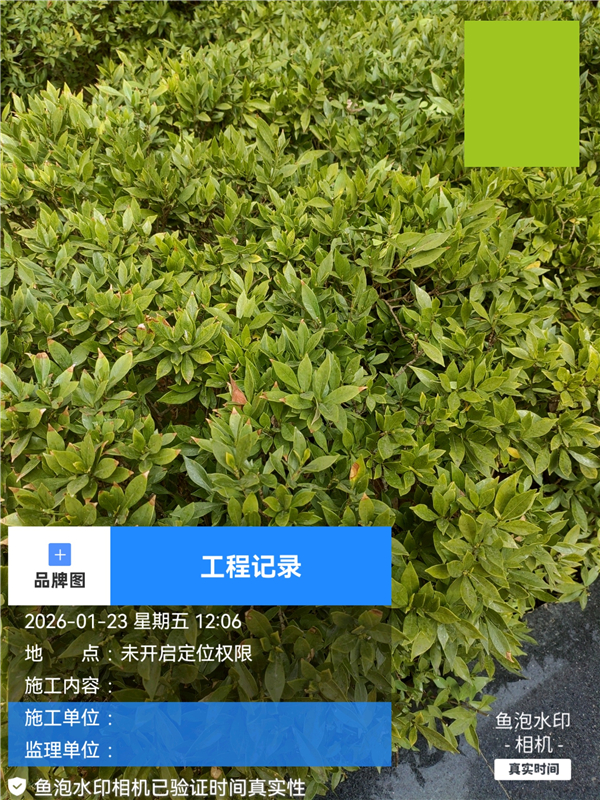 鱼泡水印相机App