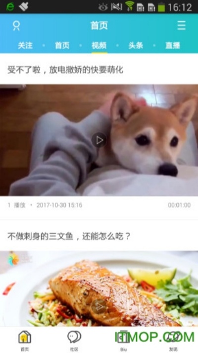 新沂城市论坛手机版