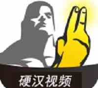 硬汉视频下载直装