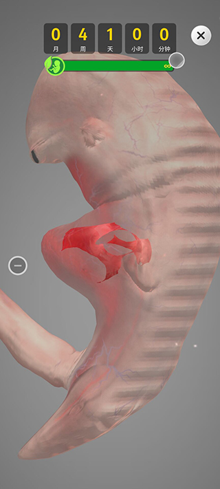 九个月游戏速度版 v1.41.6安卓版