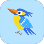 啄木鸟培训最新版v2.28.001.003