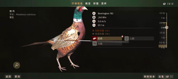 猎人之路手机版游戏玩法-5