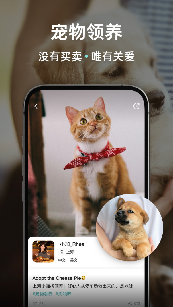 Wellcee租房安卓版v4.8.0