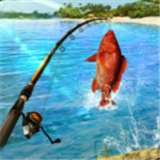 超真实钓鱼模拟器安卓版免费下载