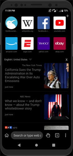 kiwi浏览器手机版最新版v139.0.7339.0 安卓版