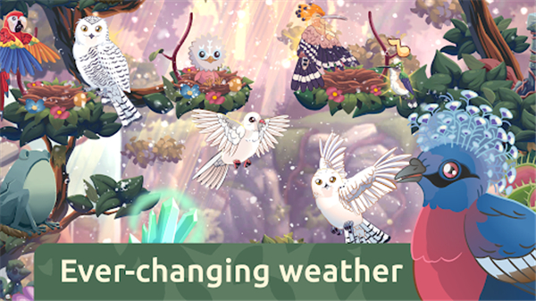 鸟类世界官方版 v1.44安卓版