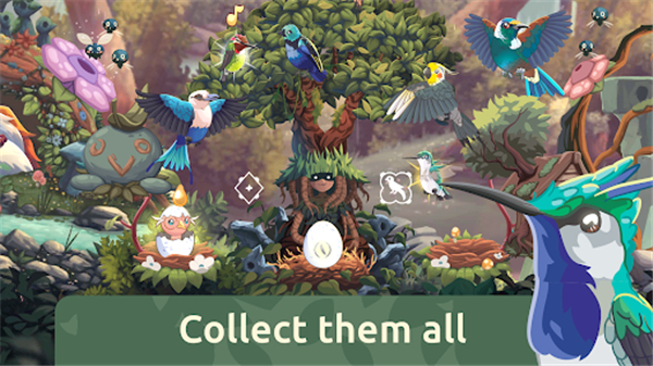 鸟类世界官方版 v1.44安卓版