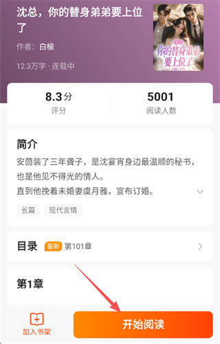 彩色梦小说正版