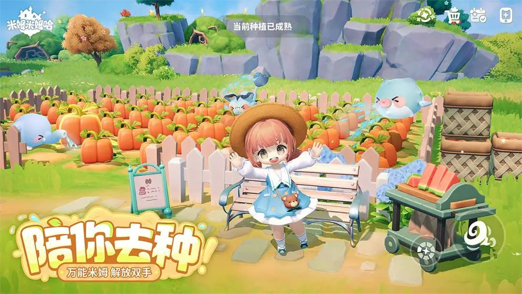 米姆米姆哈正式免费下载