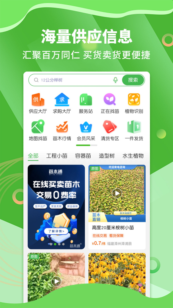 苗木通app免费版v6.1.0