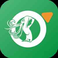 青橙直播app下载下载直装