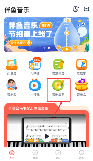 伴鱼音乐音基题库