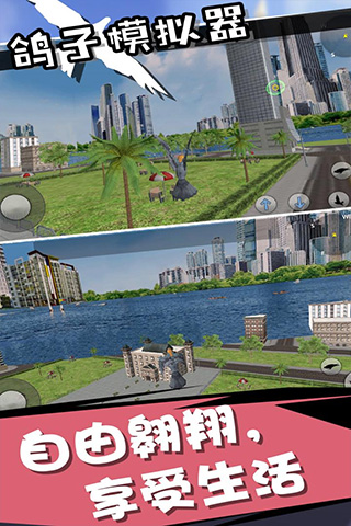 鸽子模拟器2026中文版免费下载