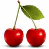 樱桃直播福利版下载直装