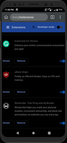 kiwi浏览器手机版最新版v139.0.7339.0 安卓版