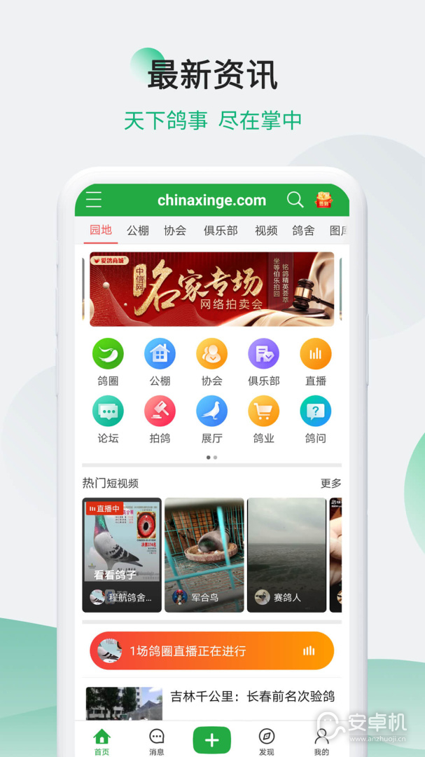 中国信鸽信息网免费版下载直装