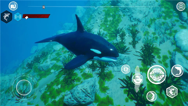 食人鲨手机移植版游戏 v1.4.2安卓版