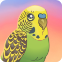 鸟类世界官方版 v1.44安卓版