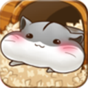 仓鼠的生活游戏中文版 v4.8.4安卓版