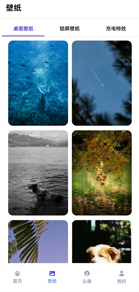 shimeji桌宠手机版最新版 v1.0.1手机版v1.0.1 安卓版