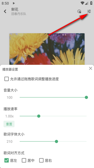 新洛雪音乐APP2025最新版本