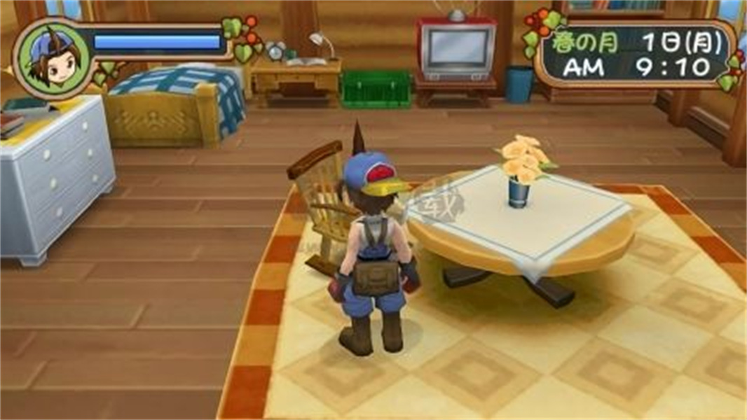 牧场物语蜜糖村和大家的心愿免费下载