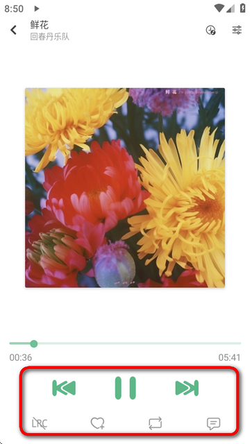 新洛雪音乐APP2025最新版本