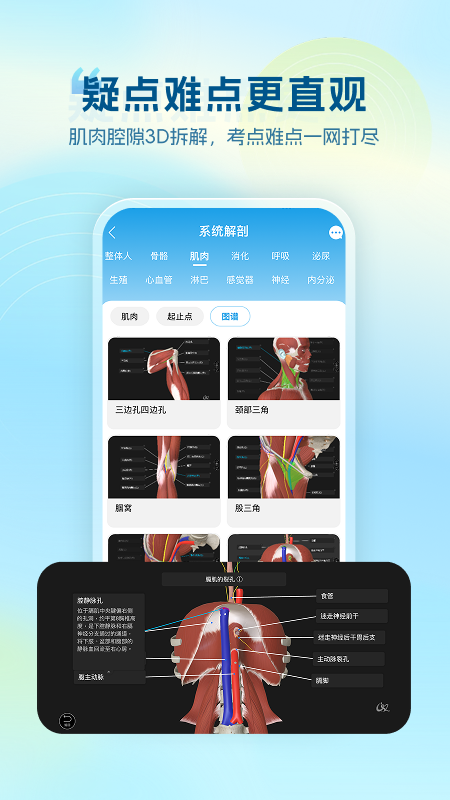 维萨里3D解剖免费版v6.9.4