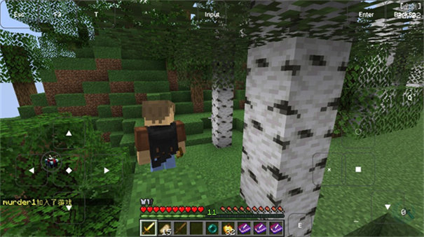 烦人的村民6.0模组整合包手游最新版