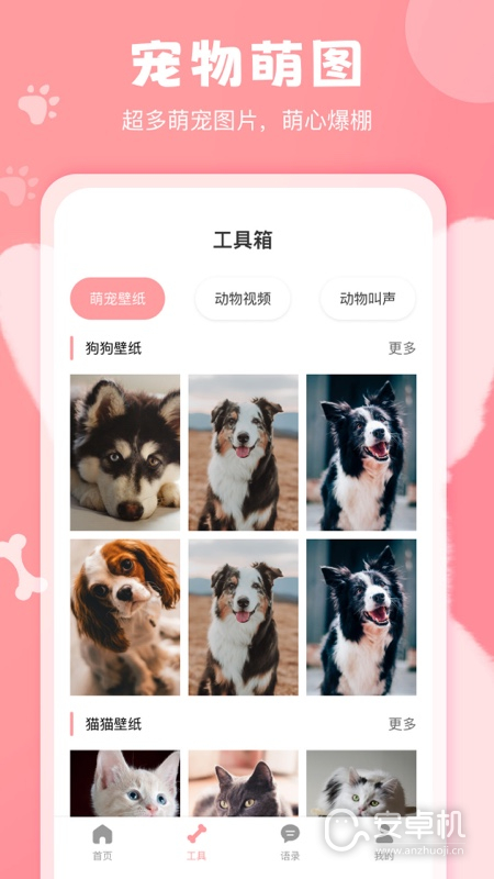 狗语翻译器免费版下载直装