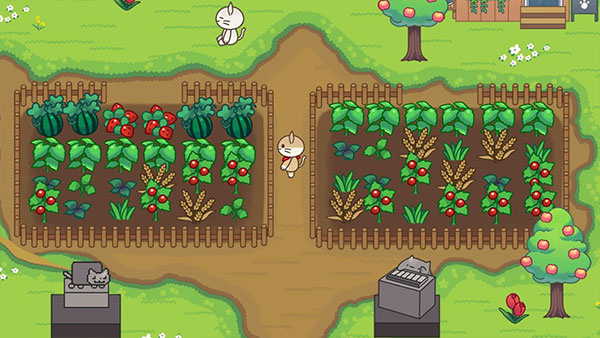 猫咪森林手游最新版