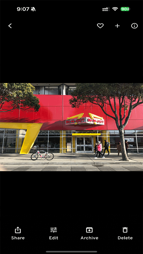 Immich安卓中文版v2.4.1 安卓版