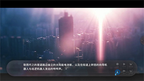 夏末盛开的花手机版