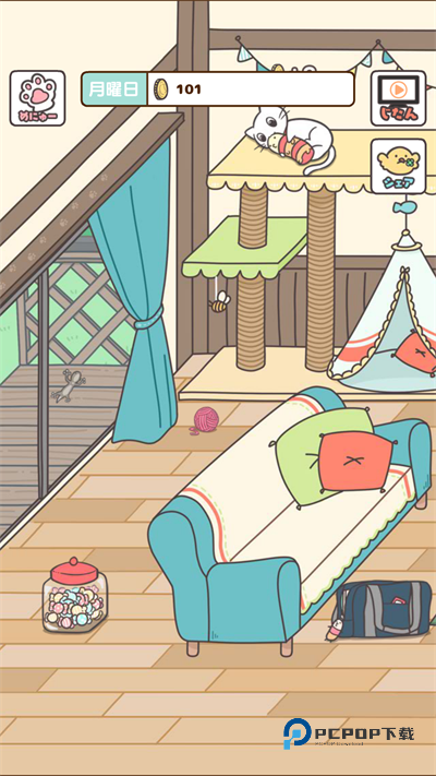 猫咪饲养日常中文版