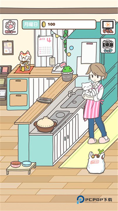 猫咪饲养日常中文版