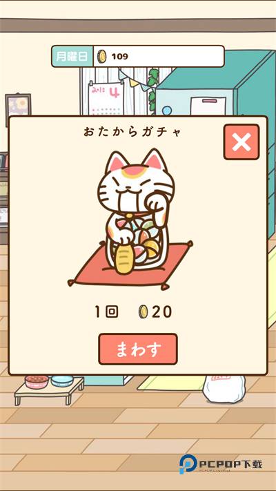 猫咪饲养日常中文版