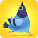 疯狂的鸽子手游