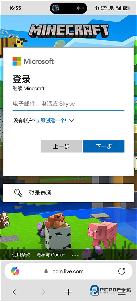 我的世界国际服