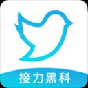 飞鸟下载器官方版