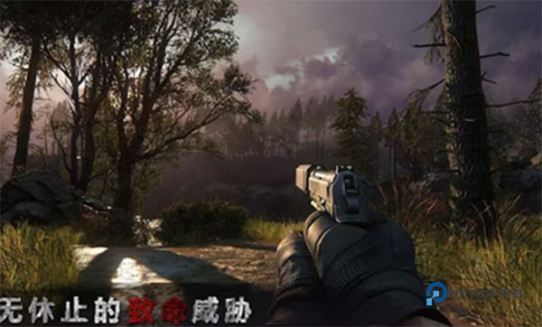 狙击精英王之王