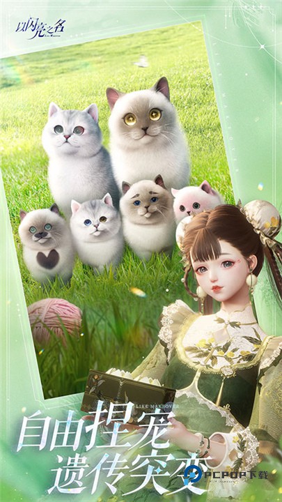 以闪亮之名安卓版