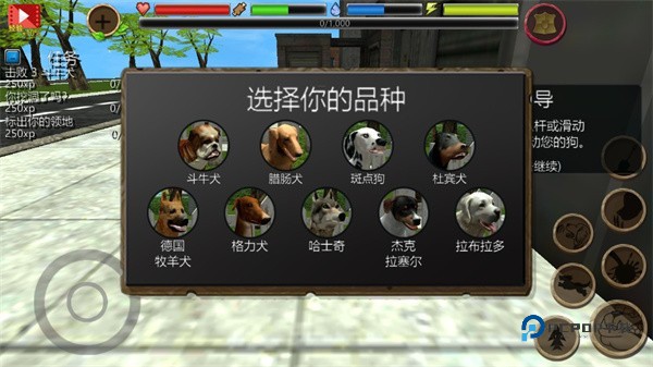流浪狗模拟器中文版