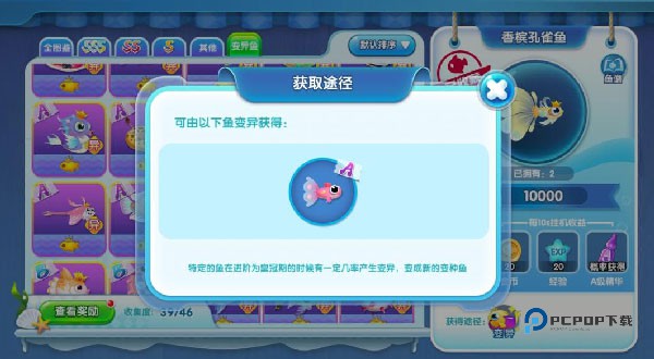 萌鱼泡泡官方版