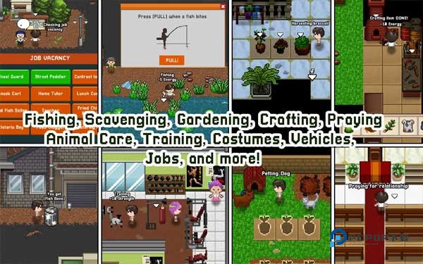 爱情和生活模拟汉化版